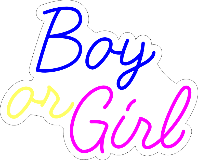 Boy or Girl Neon Sign –