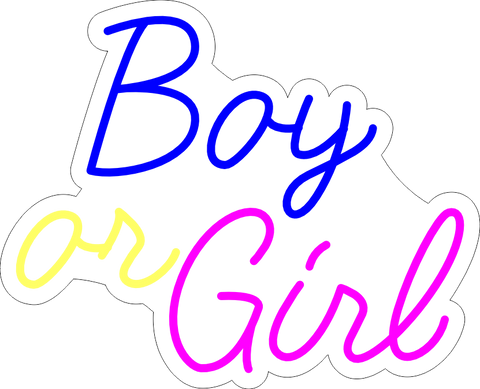 Boy or Girl Neon Sign